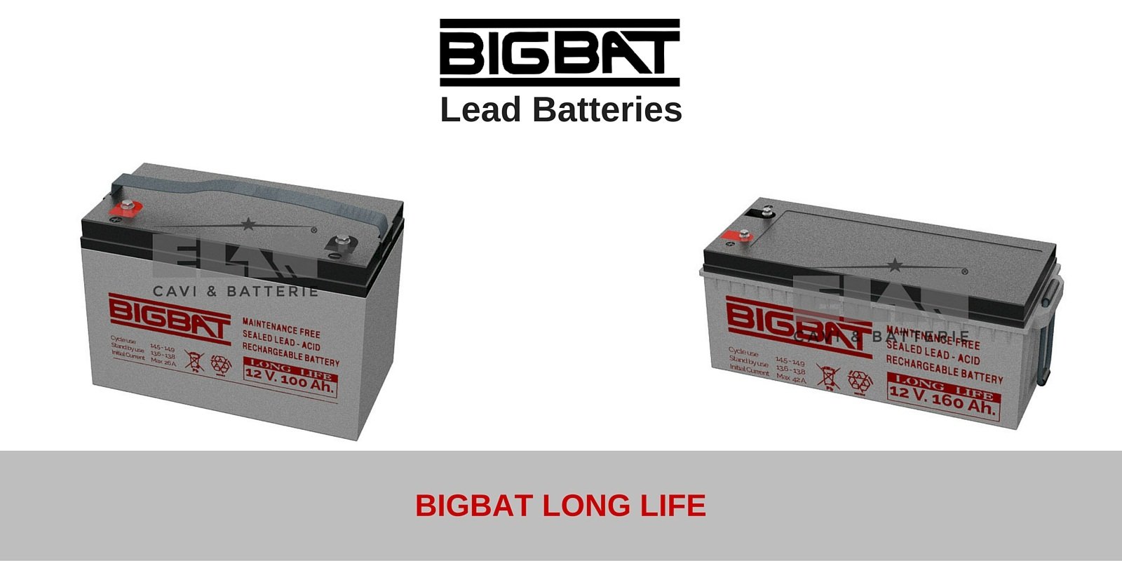 BIGBAT Lead Batteries for camper