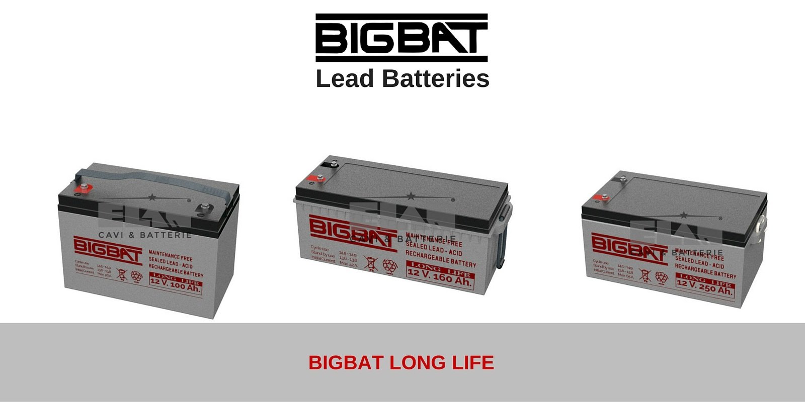 BIGBAT Lead Batteries Long Life